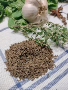 Rasca koreňová