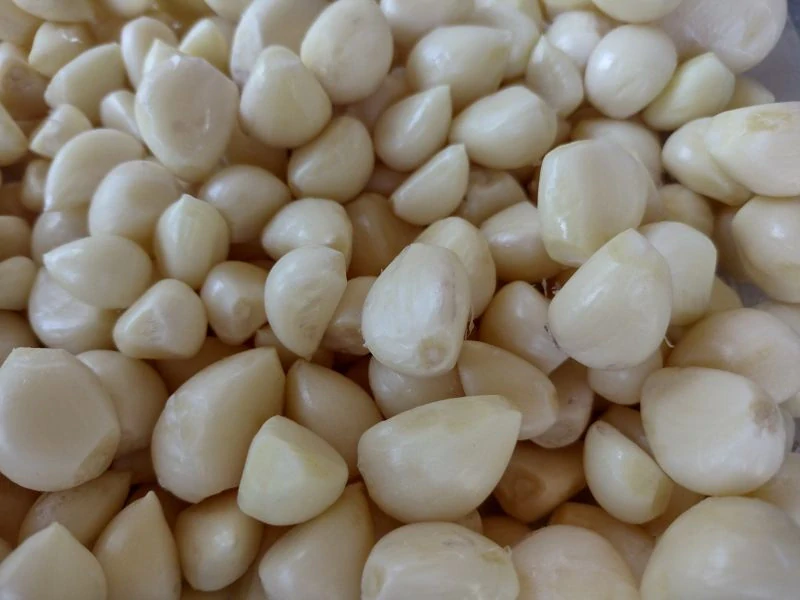 Cesnaková pasta
